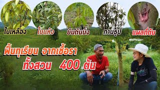 การแก้เชื้อราทุเรียน I เกษตรขั้นเทพ #การรักษาเชื้อราทุเรียน #รักษาโรคเชื้อราทุเรียน #เชื้อราทุเรียน