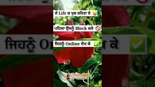 Mood of Tik Tok video | WhatsApp Status 15 second