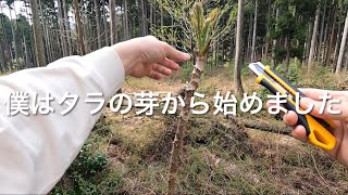 【タラの芽】【ヤブカンゾウ】誰でも採れる山菜