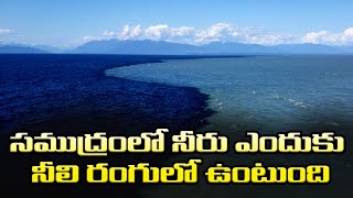 సముద్రం లో నీరు ఎందుకు నీలి రంగు లో ఉంటుంది || two different colors of water in the ocean