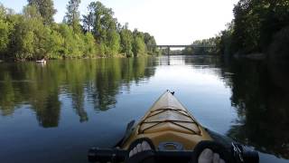 Kayaking the Willamette