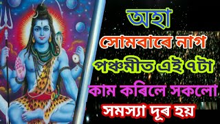 সোমবাৰে নাগ পঞ্চমী সেই দিনা এই ৭টা কাম কৰিলে সকলো সমস্যা দূৰ হয়