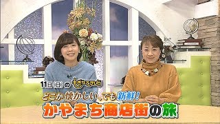 もぎたてのTAMAGO 2018年11月4日