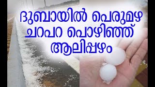 ആലിപ്പഴം പെറുക്കാം | Thunder, rain and hail in UAE | Kalakaumudi Online