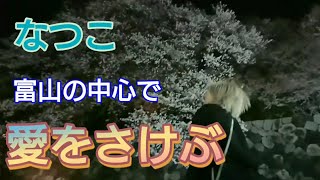 【富山で花見】続、なつこ松川へ花見に行くの巻き 後編