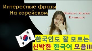 한국인도 잘 모르는 신박한!한국어 모음. Интересные корейские фразы!