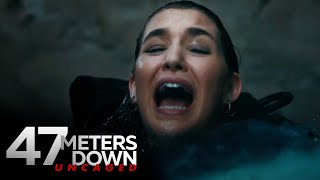 'False Hope At The Surface' Scene | 47 Meters Down: Uncaged