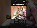 每根脆笋背后都有一只挣扎的小猫咪！ 神奇动物在抖音 猫鼻支 小猫 shorts