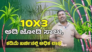 10X3 ಅಡಿ ಜೋಡಿ ಸಾಲು, ಕಡಿಮೆ ಖರ್ಚಿನಲ್ಲಿ ಅಧಿಕ ಲಾಭ!