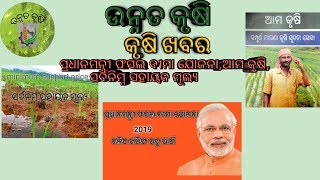 Pradhanmantri fasal bima yojana,MSP,ଆମ କୃଷି:-କୃଷି ଖବର(ଉନ୍ନତ କୃଷି)