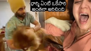 Vijay Devarkonda Playing With Charmy Kaur Dog | Puri Jagannadh | News Buzz