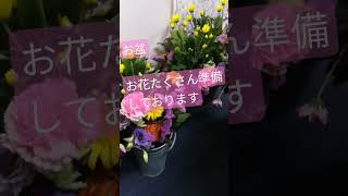 大阪府枚方市 樹木葬 お盆 花屋がある霊園#shorts