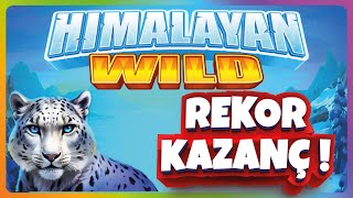 YENİ SLOT OYUNU HIMALAYAN WILD | REKOR KAZANÇ #slotoyunları #casino #slots