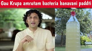 Go Krupa Amrutam Bacteria Banavani Paddhati | Gopal bhai sutaria dwara | gaushala |