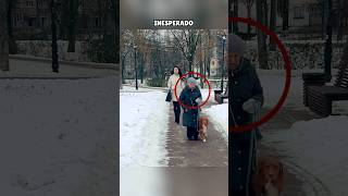 Un perro astuto desenmascara a una \