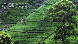Sri Lanka: Travel Documentary | Explore Nature, History, Religion and Culture | Full Length