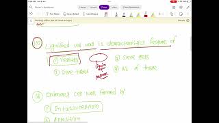 Lignified cell wall is characterised features of