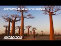 Epic Sunset at The Alley of Baobabs - Madagascar | VLOG 75