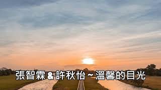 張智霖 \u0026 許秋怡 ~ 溫馨的目光