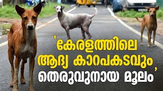 'കേരളത്തിൽ തെരുവുനായ മൂലം ആദ്യ കാറപകടം നടന്നിട്ട് 108 വർഷം' ഇരയായത് രാജകുടുംബാംഗവും Stray Dog Attack