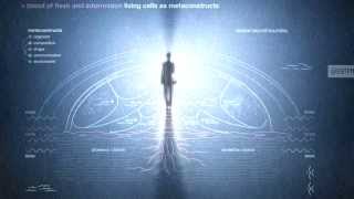 The Psychedelic Experience