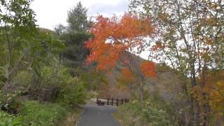 2012年10月22日　滝上町　渚滑川渓谷遊歩道「錦仙峡」　紅葉のトンネル