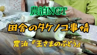 「農泊NGT」農泊のタケノコ料理！田舎はタケノコをよく貰う！