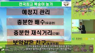 충북 아리향 과실브랜드 육성사업 - 복숭아 재배기술 교육 2편