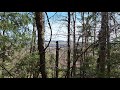 The Ridge Runner Trail Northern Maine Lunch Break Walk 😊 