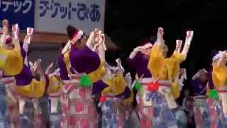 ほにや／2015.高知よさこい祭り全国大会／高知城演舞場