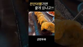 천안여행가면 할게 있냐고?!  #천안여행 #천안가볼만한곳 #천안맛집 #천안카페 #브이로그 #여행브이로그 #일상브이로그