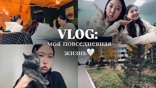 VLOG: моя повседневная жизнь/my uni days🤍