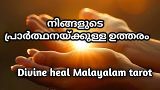 നിങ്ങളുടെ പ്രാർഥനക്കുള്ള ഉത്തരം 🌞✨❤️Divineheal Malayalam Tarotreading ✨🌞