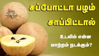 Sapota Fruit Health Benefits | Chikoo Fruit - Tamil Health Tips