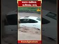 ବନ୍ୟା ପାଣିରେ ଭାସିଗଲା କାର୍ himachalpradesh floodwater car drowning shorts