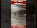 ବନ୍ୟା ପାଣିରେ ଭାସିଗଲା କାର୍ himachalpradesh floodwater car drowning shorts