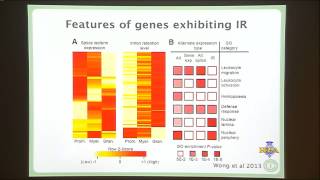 Rasko JE (2013): Junking gene expression in granulocytes