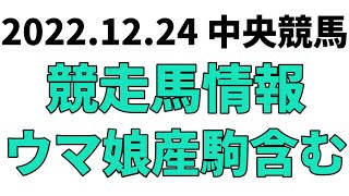 【阪神C】中央競馬情報 2022年12月24日【ウマ娘産駒】