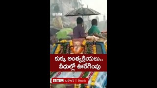 Dog Funerals : మనిషి చనిపోతే ఎలా అంత్యక్రియలు చేస్తారో ఈ కుక్కకూ అలాగే చేశారు #shorts