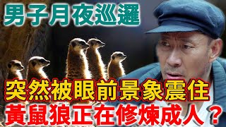 男子月夜巡邏，突然被眼前景象震住：幾百只黃鼠狼正在修煉成人？ | 禪語