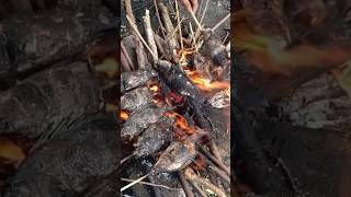 beginilah akibat asal bakar saja