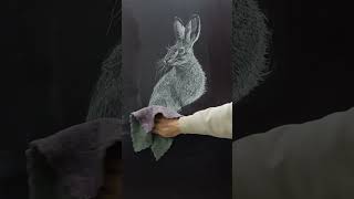 黑板擦｜黑板粉筆畫 ｜兔子｜Chalkboard drawing and eraser ｜#sketching #art #drawing #chalkart #drawingtutorial