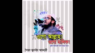 ওগো আল্লাহ ওগো মালিক ভাইরাল সেই অডিও ওয়াজ সৈয়দ জুনাইদ আযহারী 01810703111