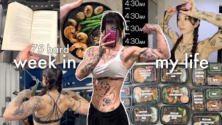 Week in My Life on 75 Hard: Meal Prep, Workouts, Healthy Habits, + Cleaning My A