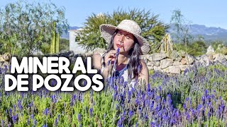 Mineral De Pozos -  De Pueblo Fantasma a Pueblo Mágico👌