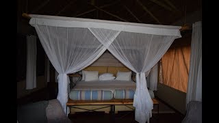 Olmoti Clinic Safari Vlog 9 -  2nd day - Serengeti National Park and Kubu Kubu Tented Camp