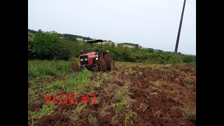 FARMVLOG #3 cultivating the land with the massey