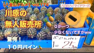 【八重山・石垣島グルメ】vol.174 驚愕！１０円パイン ですって？　川原の無人販売所