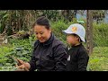 single mother harvesting kohlrabi to sell unexpectedly returning to visit her ex husband