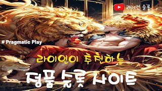 [슬롯] [슬롯사이트]🦁 슬롯 사자 : 정품 슬롯 사이트 문의는 라이언으로 부터 [정품슬롯사이트] 👑